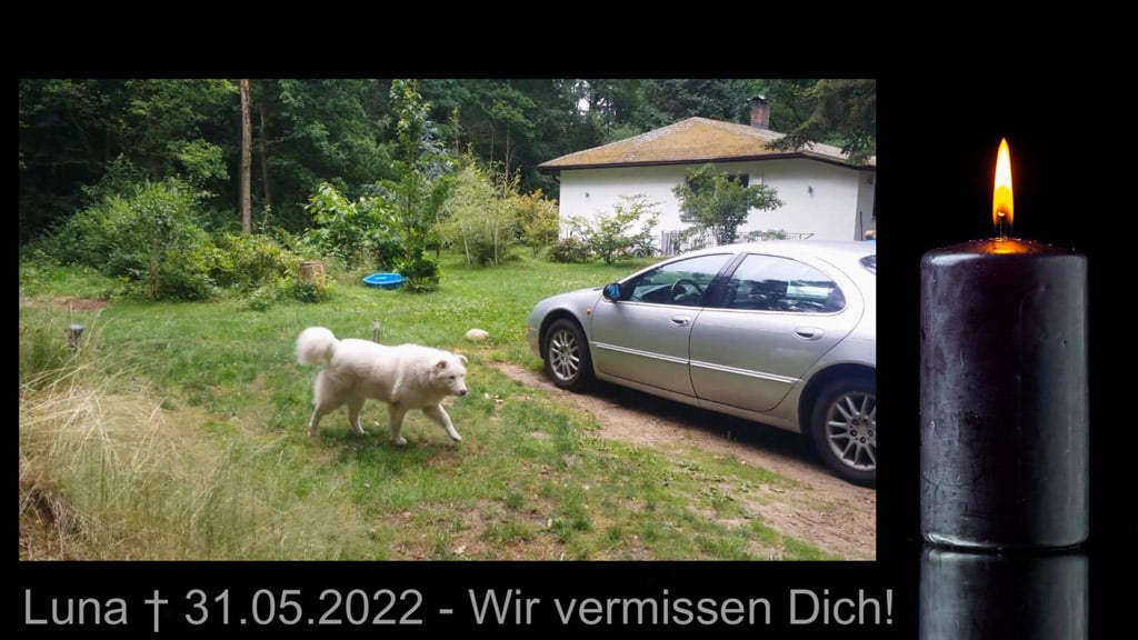 Tier Trauervideo