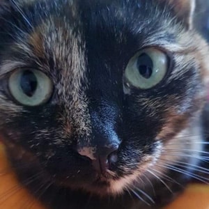 Kassie 300x300