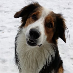 Monty 240107