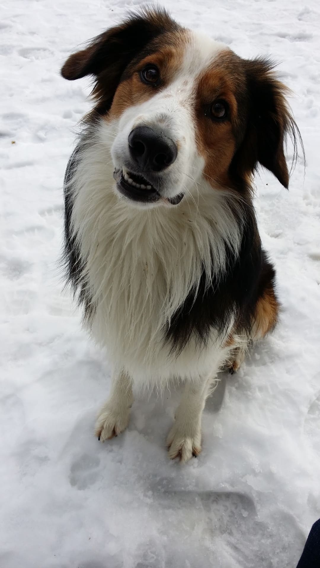 Monty 240107
