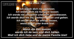 An mein Tier - Ein Versprechen aus Liebe und Treue