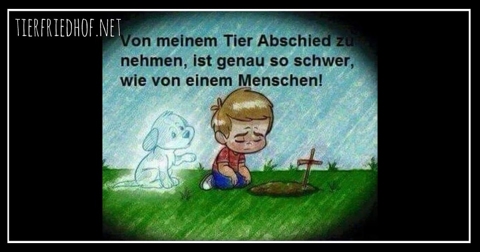 Von meinem Tier Abschied zu nehmen ist genau so schwer wie von einem Menschen