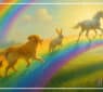 Tag der Regenbogenbrücke