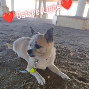 Ostsee-Liebe 250916_300