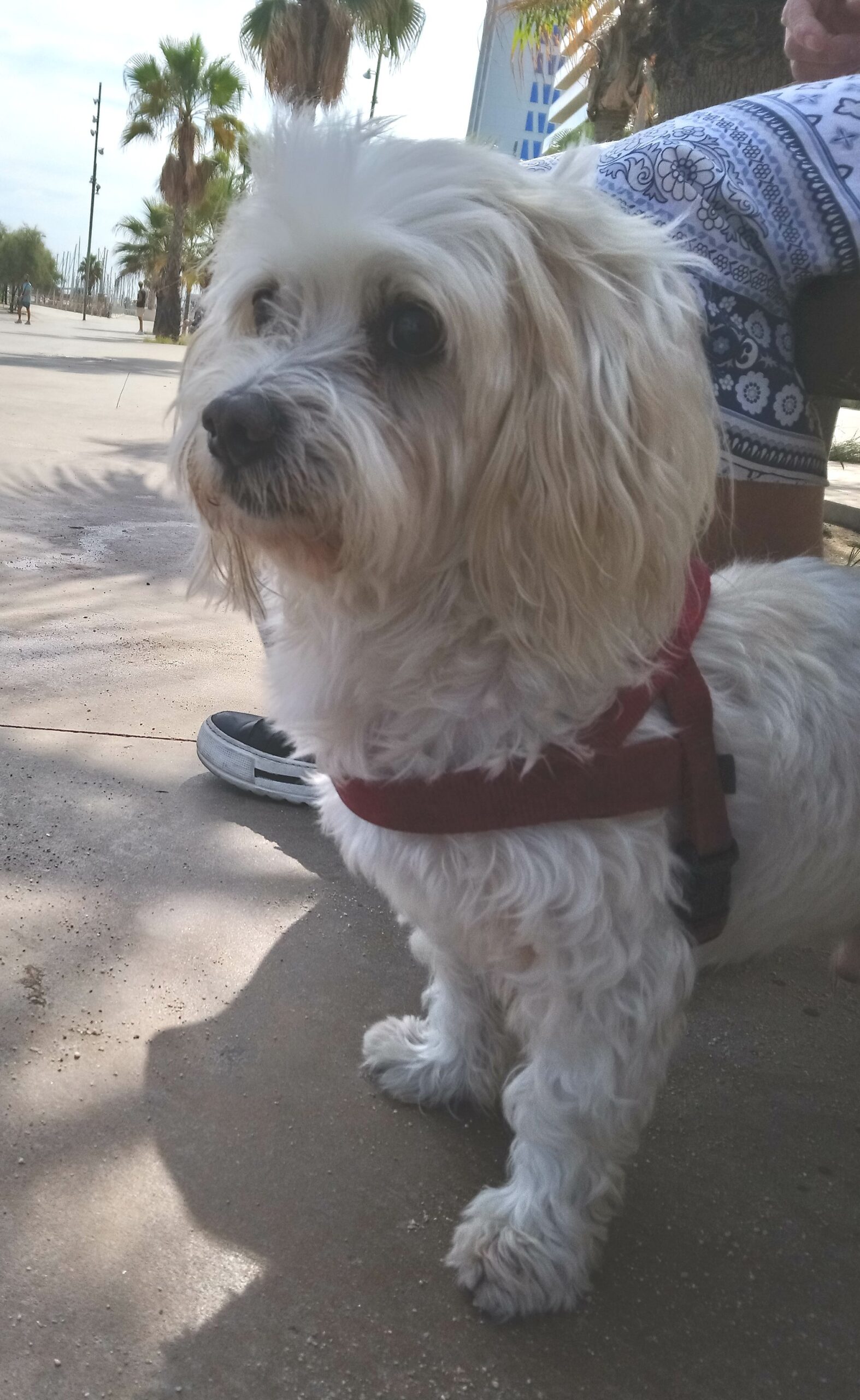 20260507 Bonny
